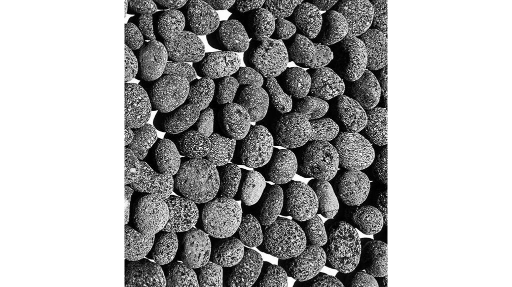 black lava rocks 20 lbs