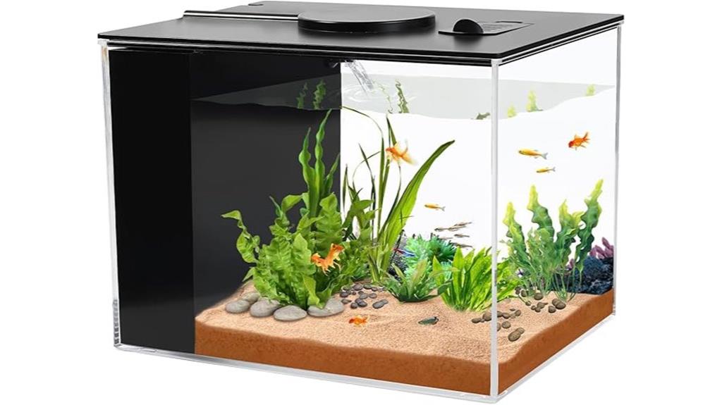 small betta fish tank