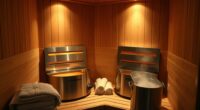 top dual person sauna heaters