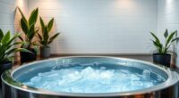 top indoor cold plunge chillers
