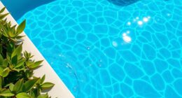 cold plunge pool algae prevention