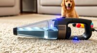 top pet carpet cleaners