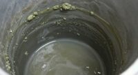 detecting biofilm buildup early