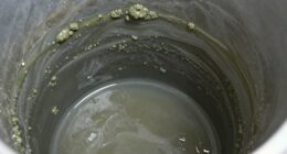 detecting biofilm buildup early