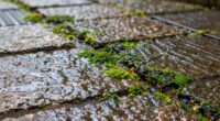 preventing algae and bacteria