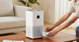 15 Best Personal Air Purifiers in 2026