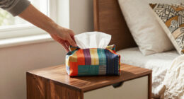 13 Best Tissue Box Covers in 2026